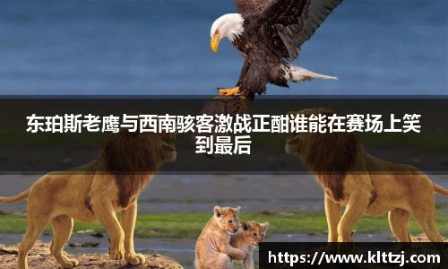 东珀斯老鹰与西南骇客激战正酣谁能在赛场上笑到最后